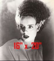 Bride of Frankenstein #1 Photo Horror, Salon Decor Collection