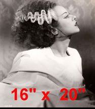 Bride of Frankenstein #2 Photo Horror, Salon Decor Collection