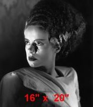 Bride of Frankenstein #3 Photo Horror, Salon Decor Collection