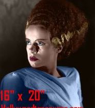 Bride of Frankenstein Color #1 Photo Horror, Salon Decor Collection