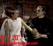 Bride of Frankenstein Color #2 Photo Horror, Salon Decor Collection