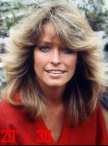 Farrah Fawcett photo Salon Decor Collection