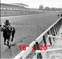 Secretariat Belmont Stakes Triple Crown Winner Photo Stretch Photo