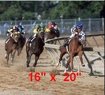 Secretariat Color Photo #2 Photo Poster. Horse Racing Triple Crown Winner