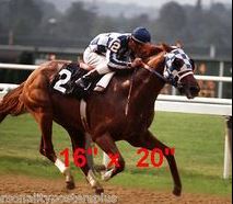 Secretariat Color Photo #3 Photo Poster. Horse Racing Triple Crown Winner