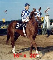 Secretariat Color Photo #4 Photo Poster. Horse Racing Triple Crown Winner