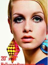 Twiggy Color Photo #1 Hair Salon Decor Collection