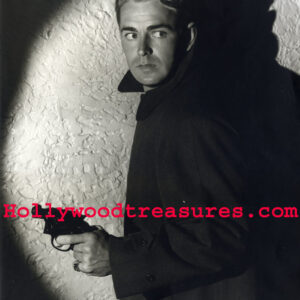 Alan Ladd~This Gun For Hire~Film Noir Classic~Entertainment Room Decor~Photo~Poster