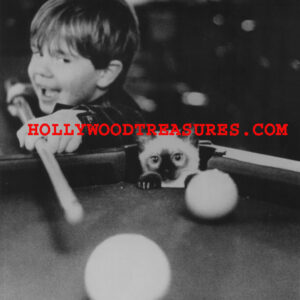 Playful Kitten~Billiards~Playing Pool~Playing Billiards~Decor~Shooting Pool ~ Poster~Photo