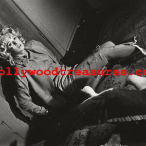 Alfred Hitchcock~Director~Birds~Poster~Tippi Hedren~ Classic Photo