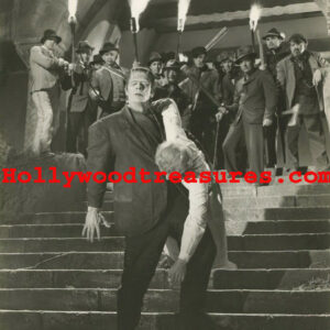 Frankenstein ~Horror~Poster~Photo~#19~Entertainment Room Decor