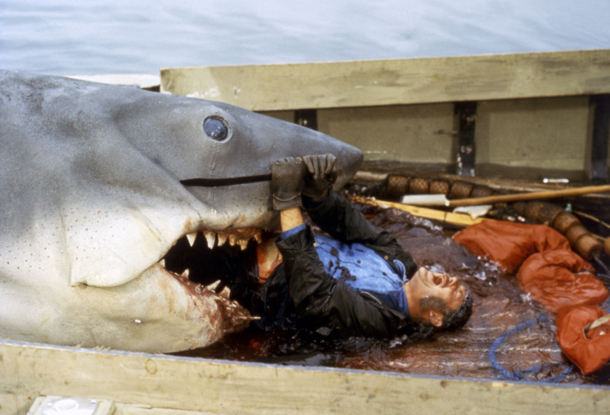 Jaws~Shark~Classic Spielberg~#1