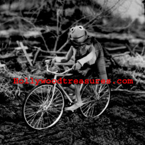 Jim Henson~Kermit~Rainbow Connection~Muppets~Photo~Poster~Entertainment Room Decor