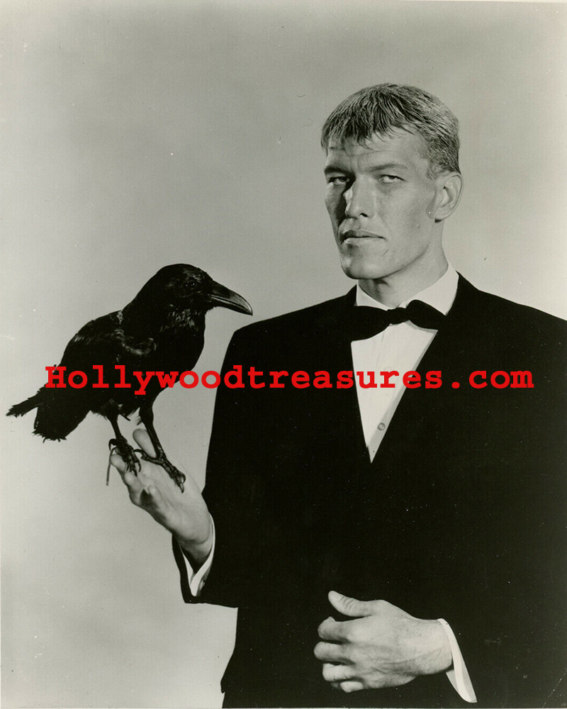 Adams Family~Lurch With Hawk~Television~ Classic TV~Photo~Poster