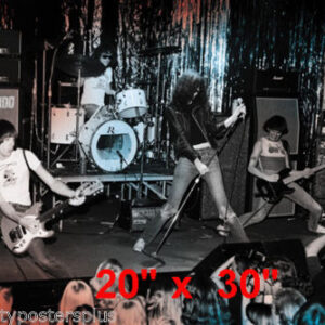 Ramones~Rock n' Roll~Photo~#2~Posters