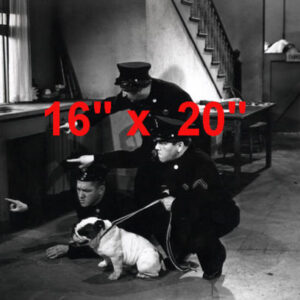 Three Stooges~Policeman~Policedog~Photo~Bulldog