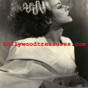 Bride of Frankenstein~Elsa Lanchester~Hair Salon~Spa~Photo~Decor~Stylist~Poster~Photo