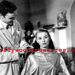 Audrey Hepburn~Hair Salon Decor~#2~ Print~Photo