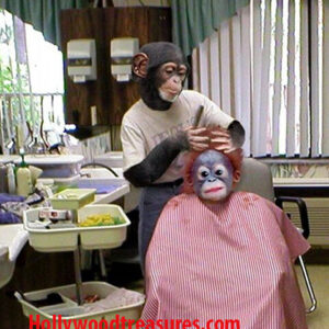 Hair Salon~Spa~Photo~Decor~Retro~Stylist~Monkee~Poster