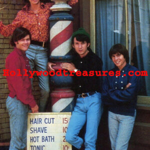 Monkees~Hair Salon~Salon Decor~Spa~Retro~Barbershop~Photo~Poster