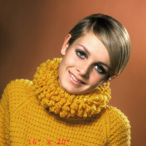 Twiggy~Fashion~Salon~Decor~Hairstyle~Color~#7